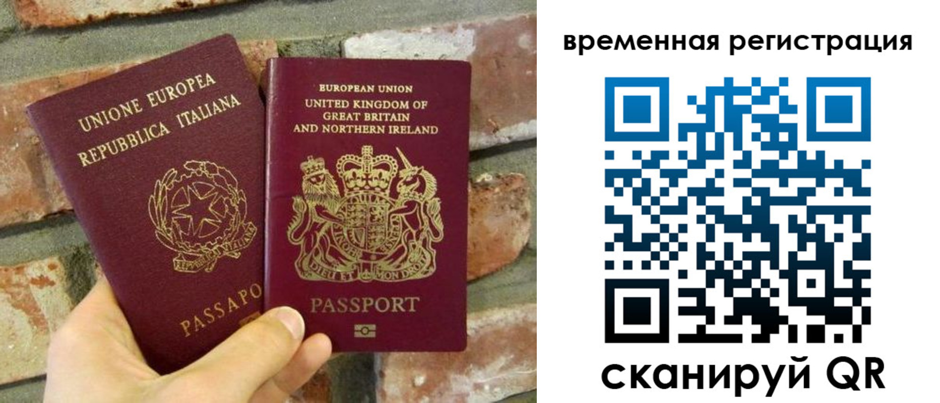 прописка для школы в Дмитрове